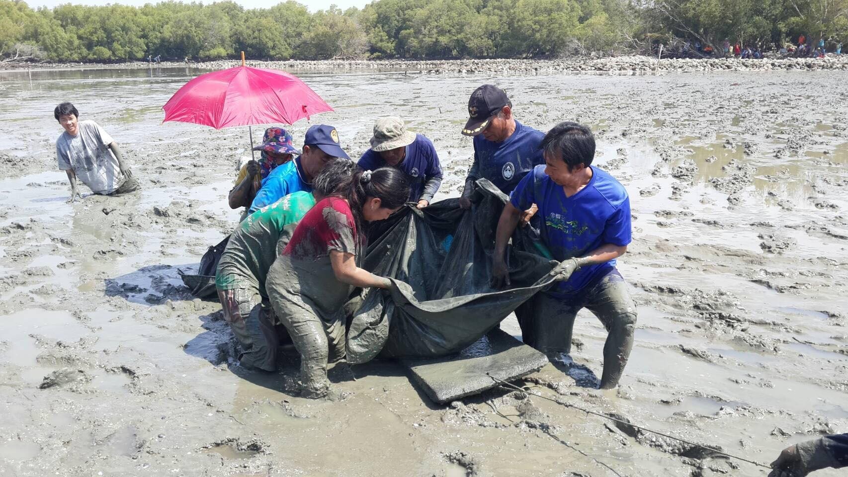 อธิบดี ทช. แจงกรณีนารากรโพสต์กังวล ห่วงผลเสียหลังทำ CSR ปลูกป่าชายเลน กระทบโลมาบางขุนเทียน