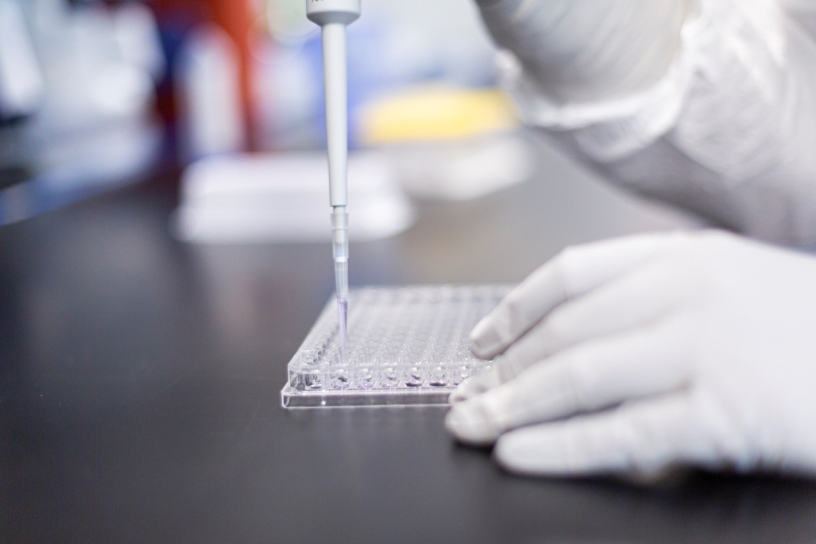 ภูมิคุ้มกันจากการฉีดวัคซีน mRNA และการติดเชื้อตามธรรมชาติ ต่อเชื้อไวรัสโอไมครอนสายพันธุ์ย่อยต่างๆ