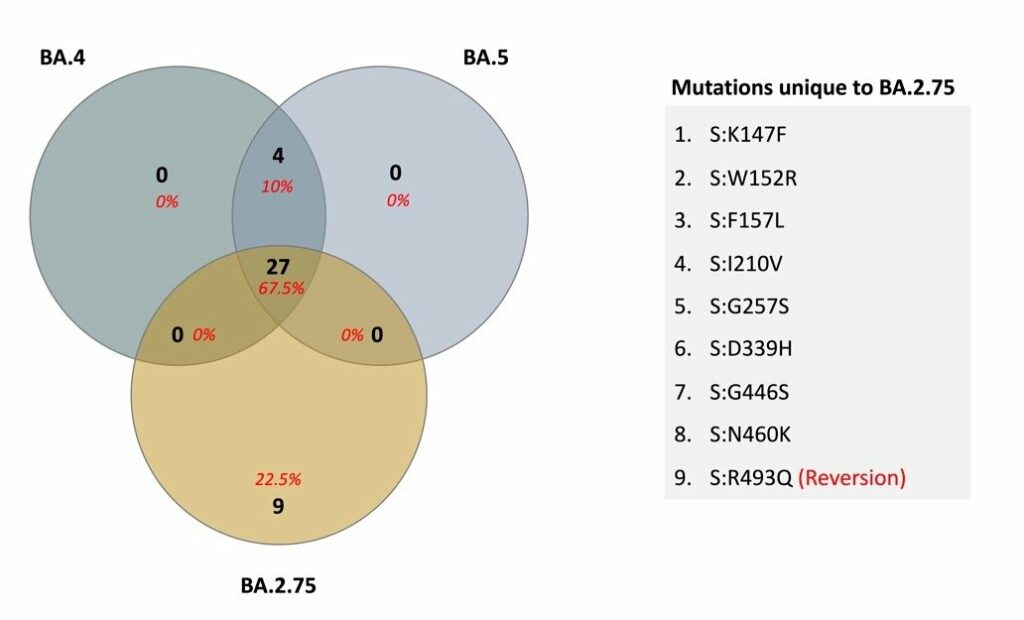 จับตา ไวรัสสายพันธุ์ใหม่ BA.2.75