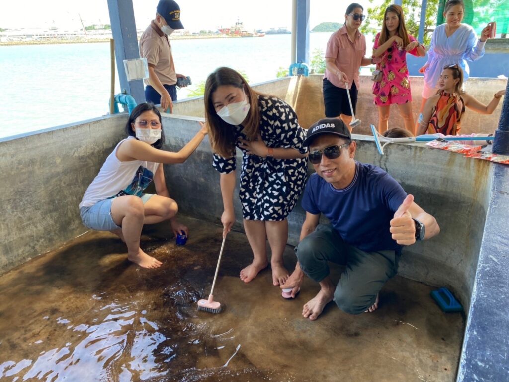 ล้างบ่อเต่า