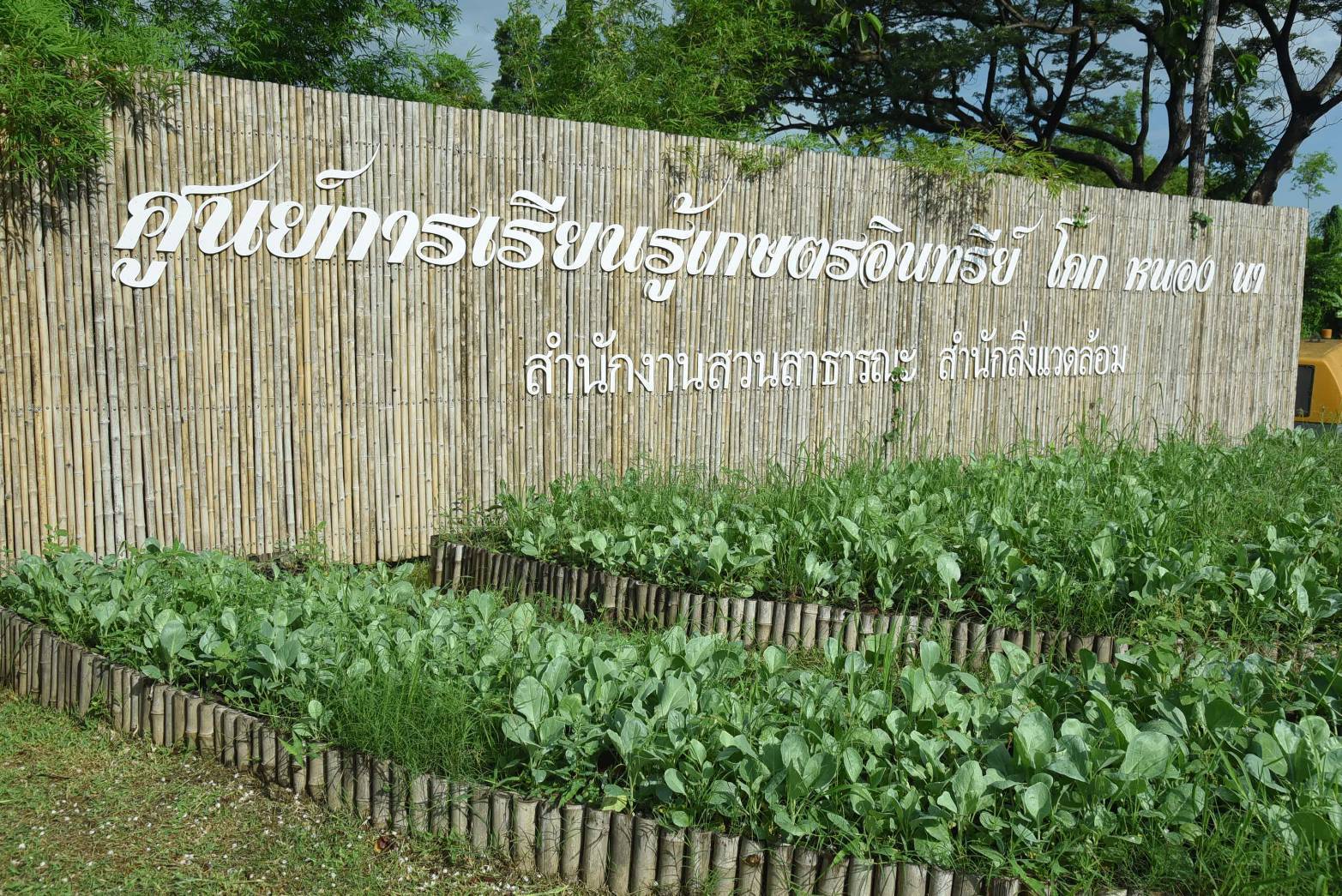 รองผู้ว่าฯ กทม. ติดตามการก่อสร้างสวนสาธารณะใหม่ เขตทวีวัฒนา