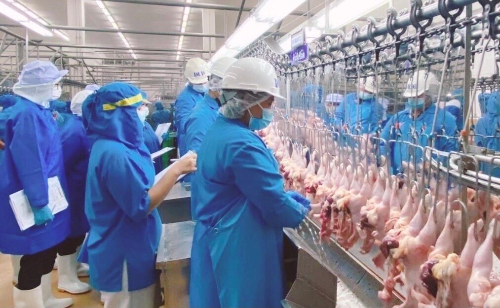 จีนปลดล็อก 5 โรงงานไก่ไทย
