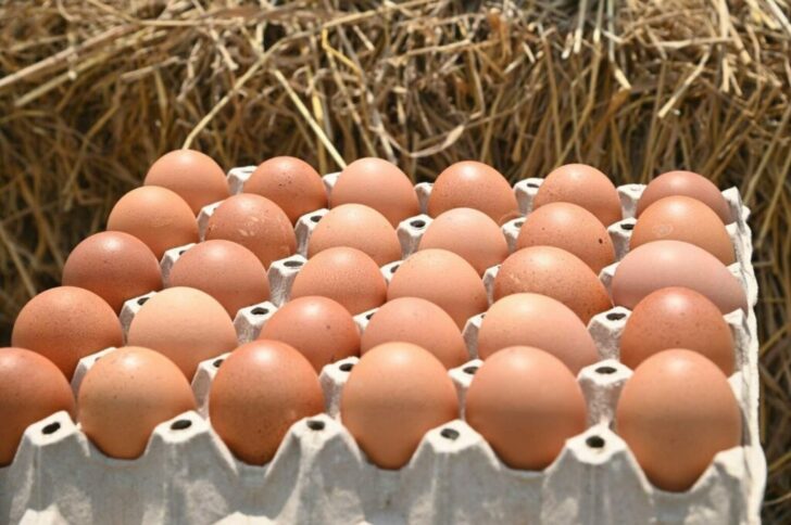 ไข่ไก่ ไข่ไก่