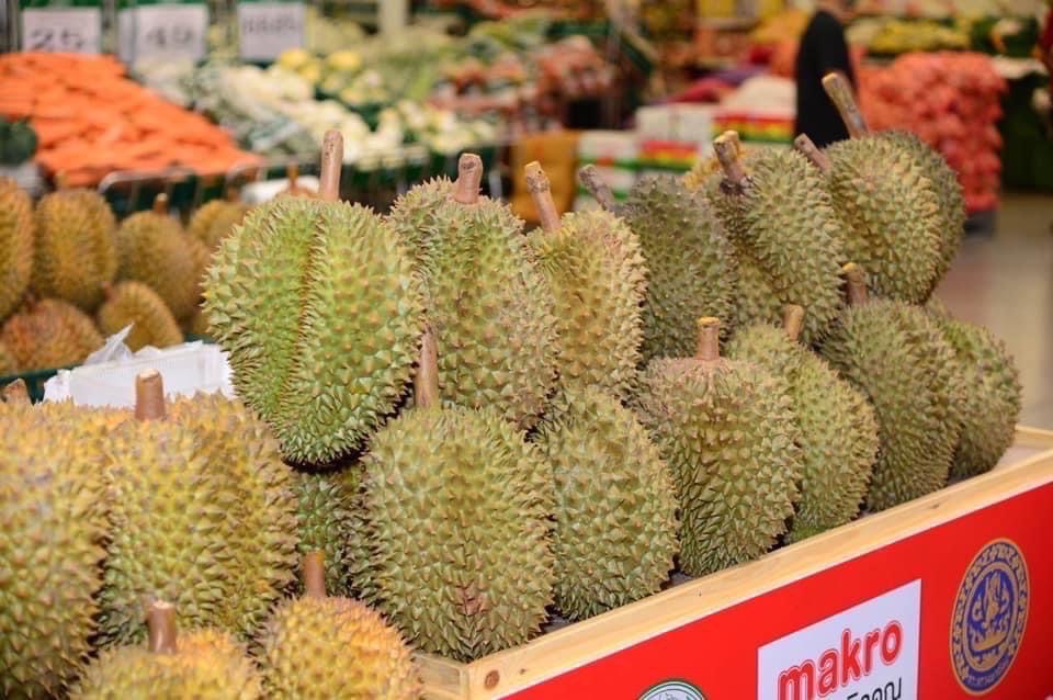 ทุเรียน ผลไม้ส่งออก