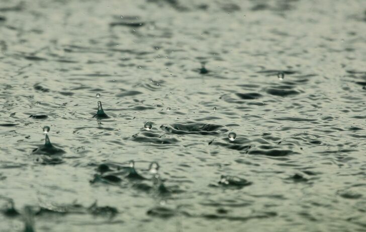 ฝนตก ฝนตก