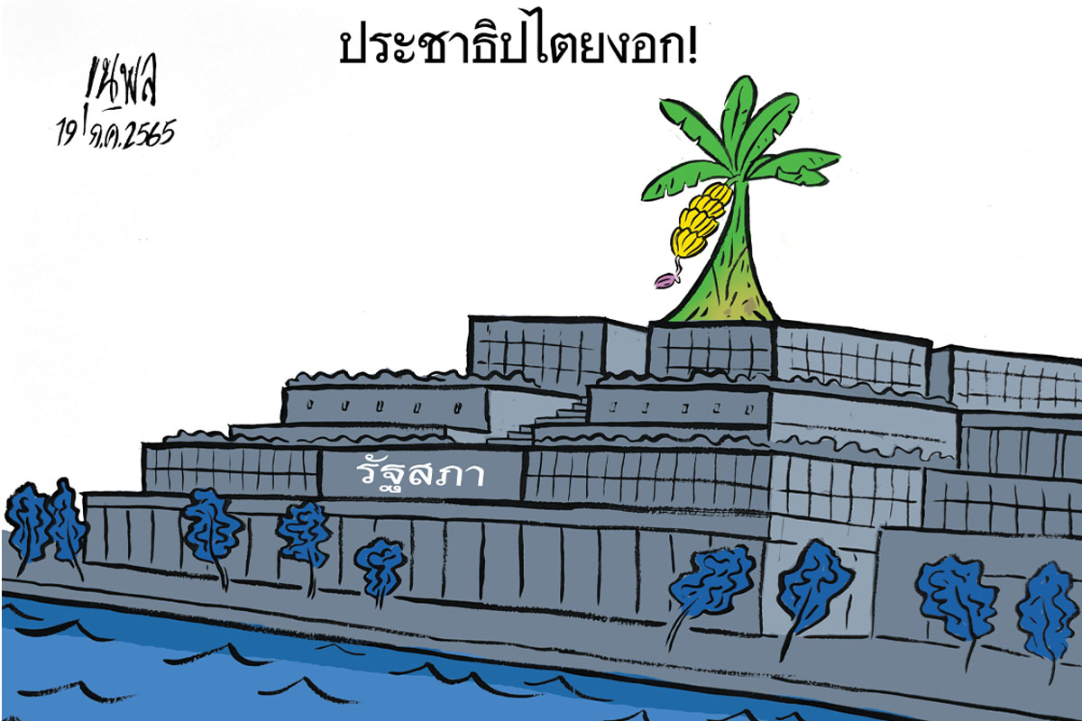 การ์ตูนขุนพล :  รัฐสภา : ประชาธิปไตยงอก !