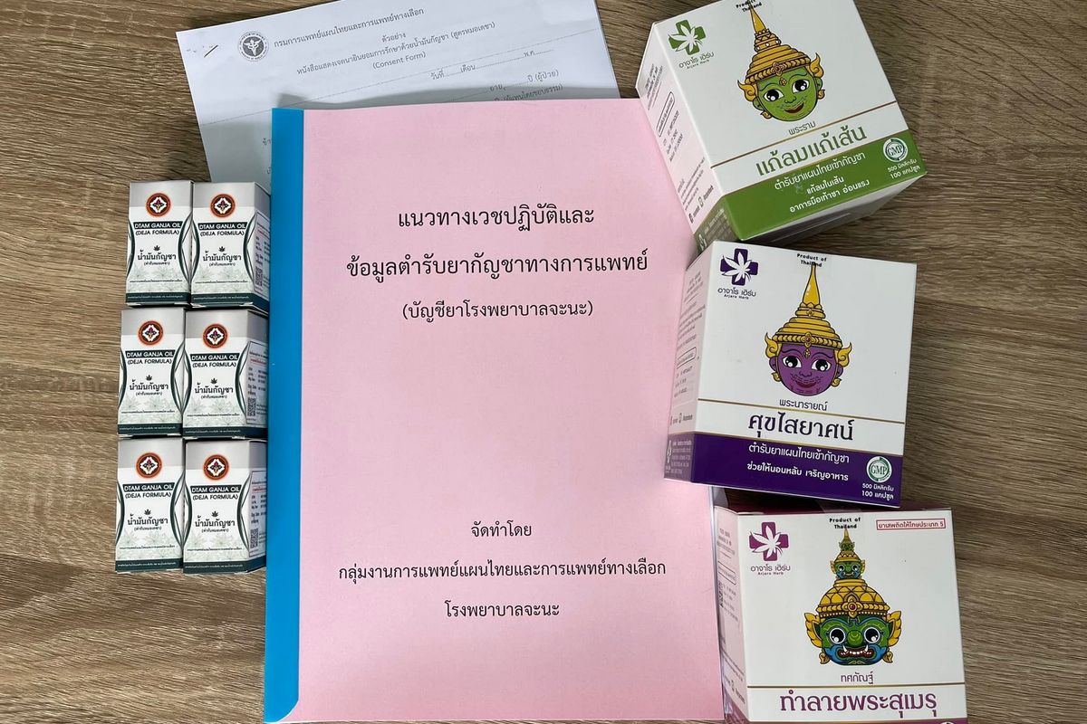 ประธานแพทย์ชนบทยืนยันนโยบายกัญชาเสรีนั้นไม่อาจสนับสนุนได้