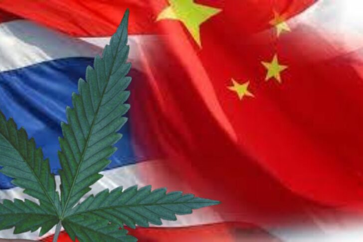 marijuana สถานทูตจีน