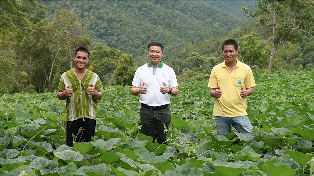 มูลนิธิเจริญโภคภัณฑ์พัฒนาชีวิตชนบทผนึกกำลังโลตัส รับซื้อฟักทองล็อตแรกจากเกษตรกรในโครงการอมก๋อยโมเดล พร้อมส่งเสริมโมเดลเกษตรมูลค่าสูง