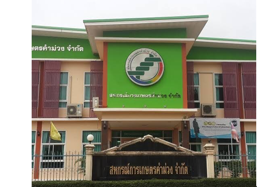 สมาชิกสหกรณ์การเกษตรคำม่วง จำกัด ตอกย้ำความเข้มแข็ง! สมาชิกซื้อหุ้นเพิ่ม 7-8 ล้านบาทต่อปี !!!