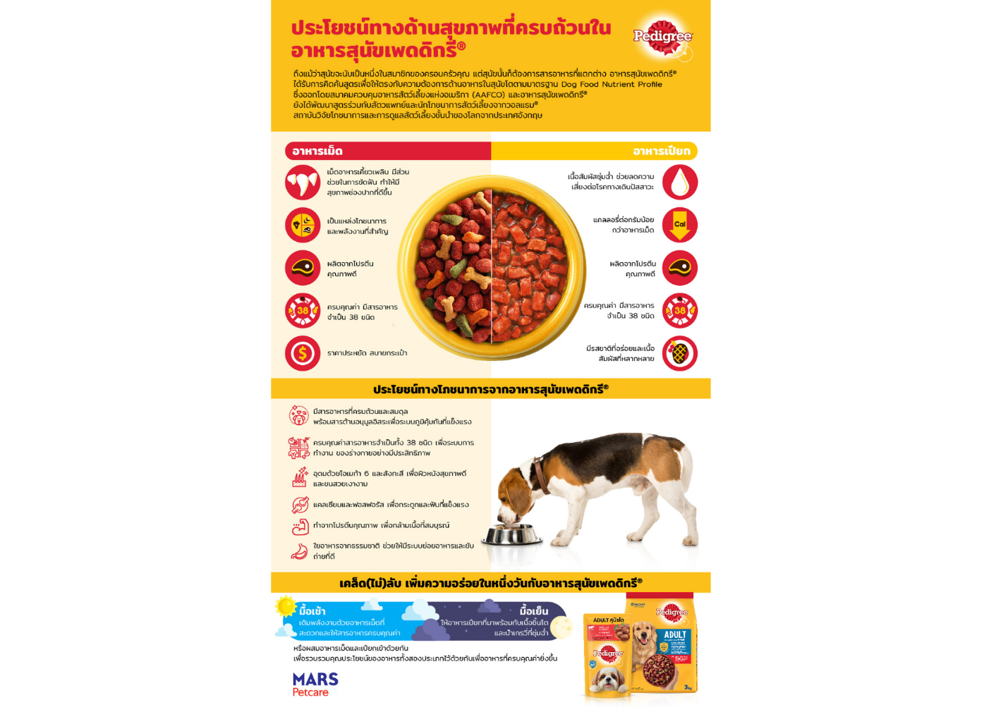 อาหารสุนัขที่หลากหลาย: แบบไหนนะ ถึงเหมาะกับสุนัขของเรา?