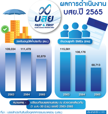 ผลดำเนินการ บสย.