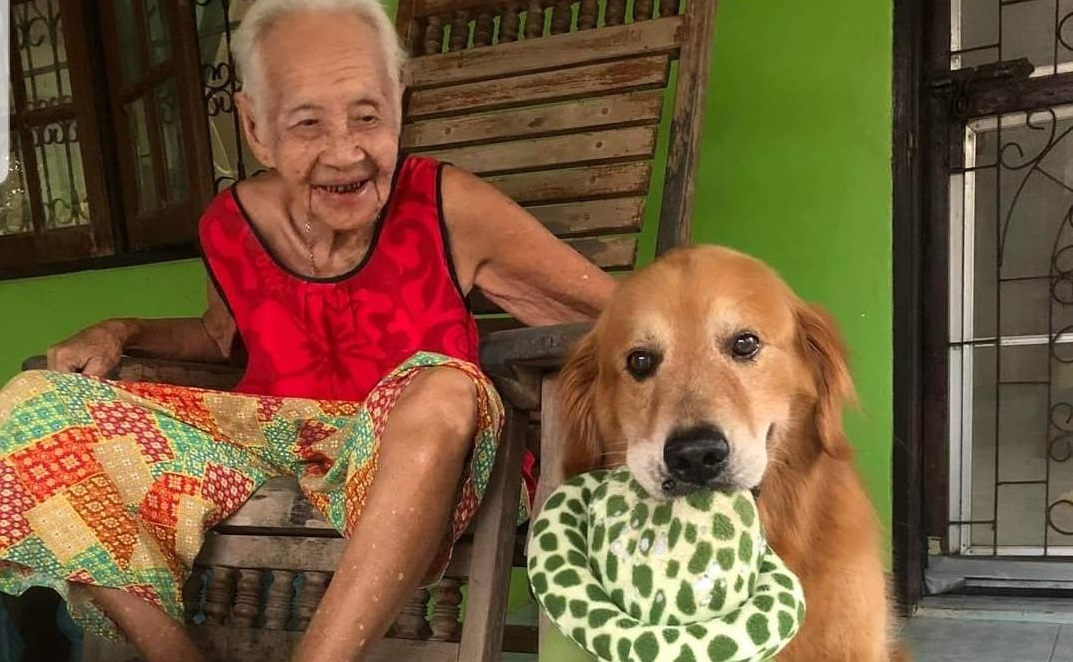 ลีโอ ไอ้หนูของยาย ลากลับดาวหมาแล้ว แฟนเพจอาลัย เป็นห่วงคุณยาย