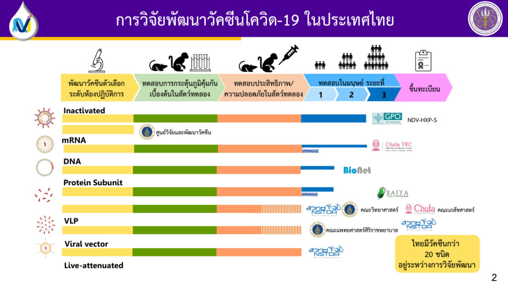 คามก้าวหน้าวัคซีนรักษาดควิดของไทย