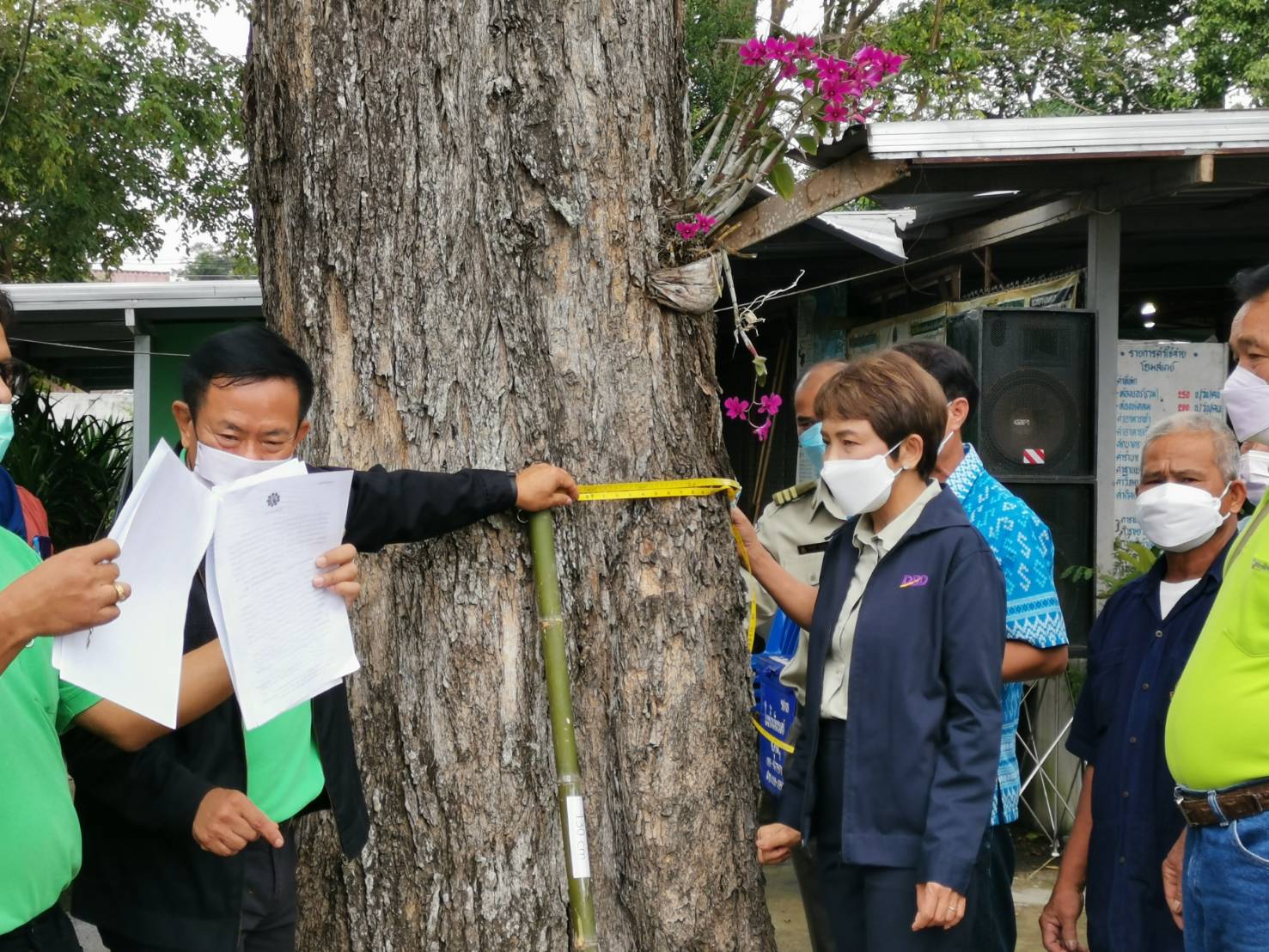 ไม้ยืนต้นสร้างหลักประกันธุรกิจ