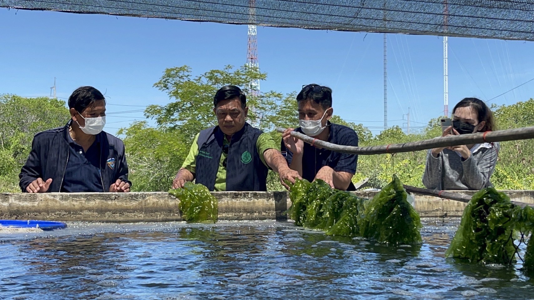 เพชรบุรีโมเดล อัพเกรดสาหร่ายน้ำจืด พืชเศรษฐกิจใหม่อาหารแห่งอนาคต