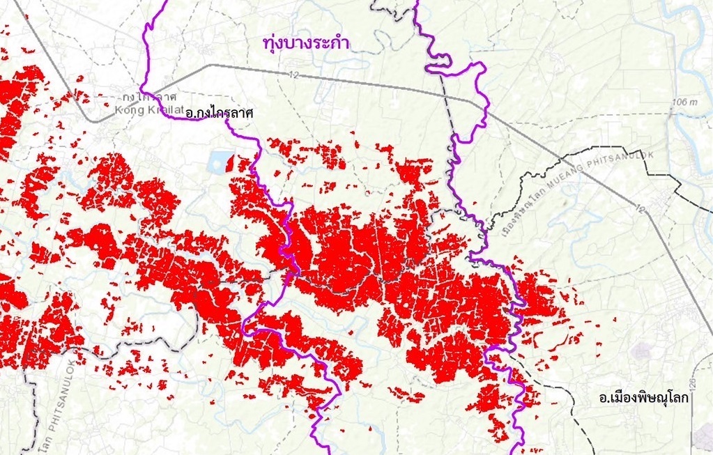 ทุ่งบางระกำ “พิษณุโลก-สุโขทัย” ท่วมแล้ว 35,000 ไร่