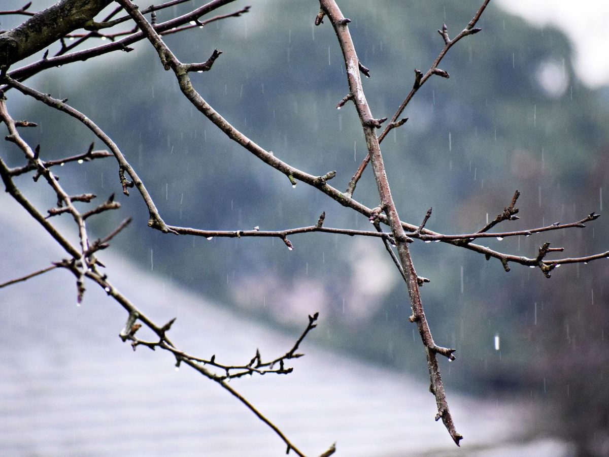 สภาพอากาศวันนี้ ฝนตกหนัก อีสาน ตะวันออก กทม.-ปริมณฑล 60% ของพื้นที่