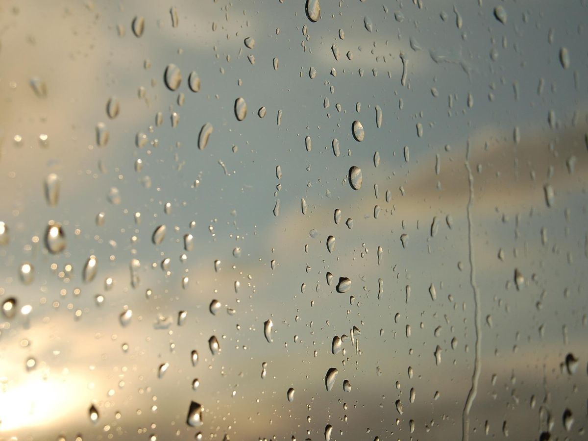 สภาพอากาศวันนี้ ฝนตกหนัก 12 จังหวัดอีสาน กทม.-ปริมณฑล 40% ของพื้นที่