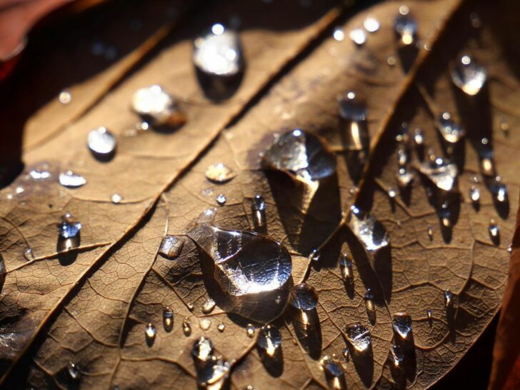 Untitled design - 2022-08-13T065631.658 สภาพอากาศวันนี้ ฝนตกทั่วไทย ระวังน้ำท่วมฉับพลัน กทม.-ปริมณฑล 60%