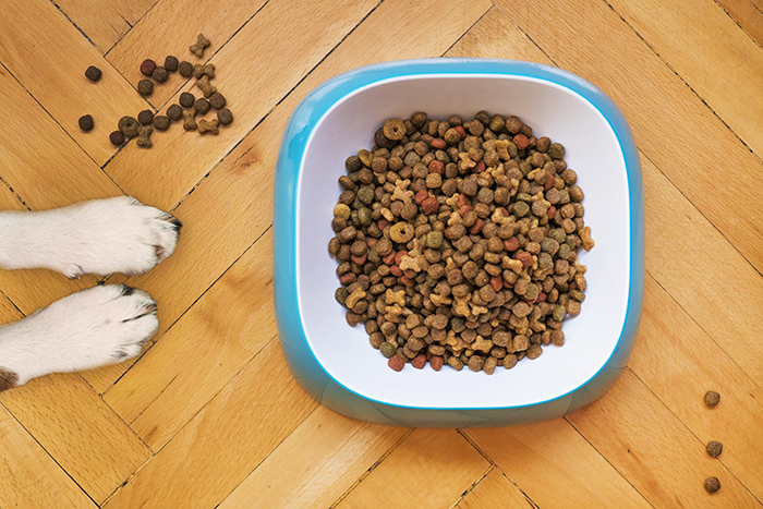 Eat Your Own Dog Food สร้างโอกาสให้สินค้า-บริการของเราเอง