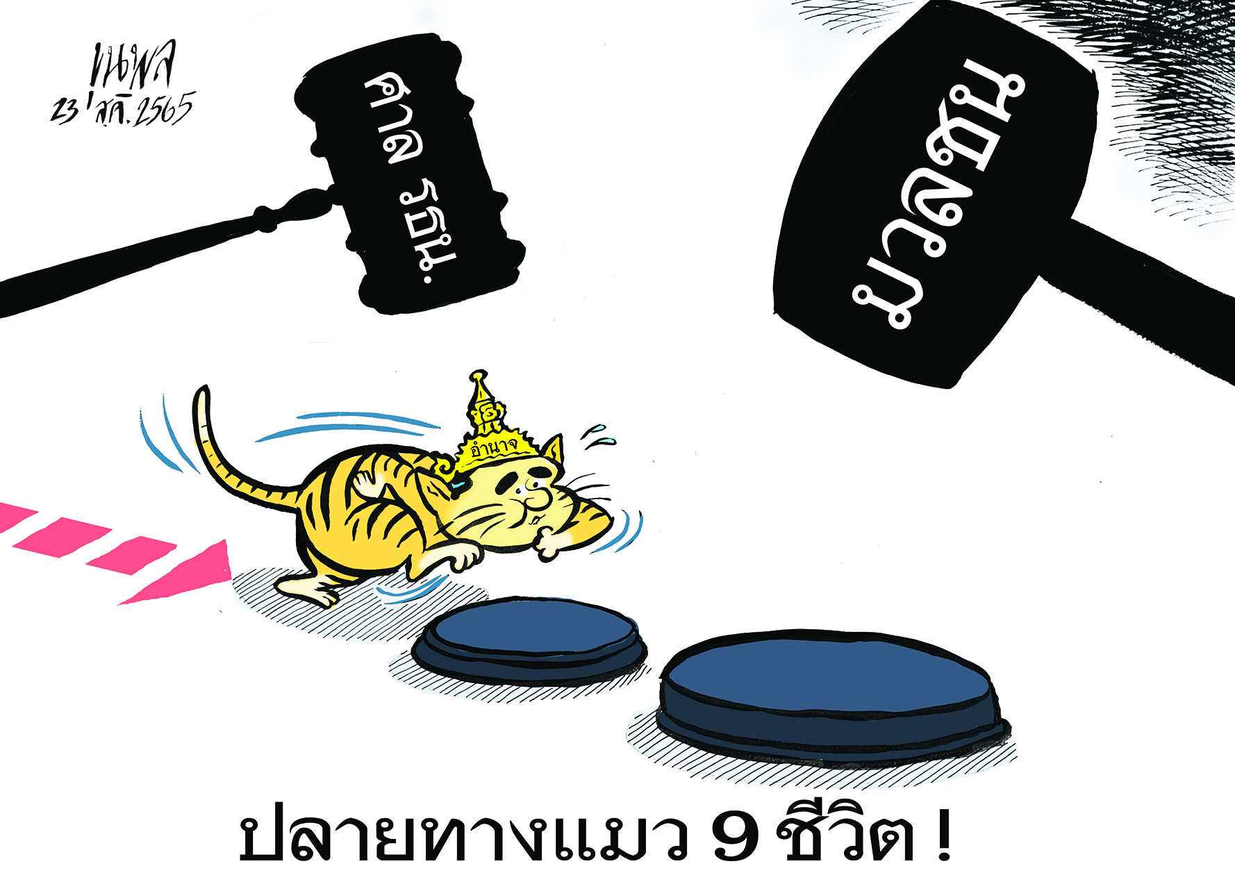 การ์ตูนขุนพล : ปลายทางแมว 9 ชีวิต! – ศาลรัฐธรรมนูญ