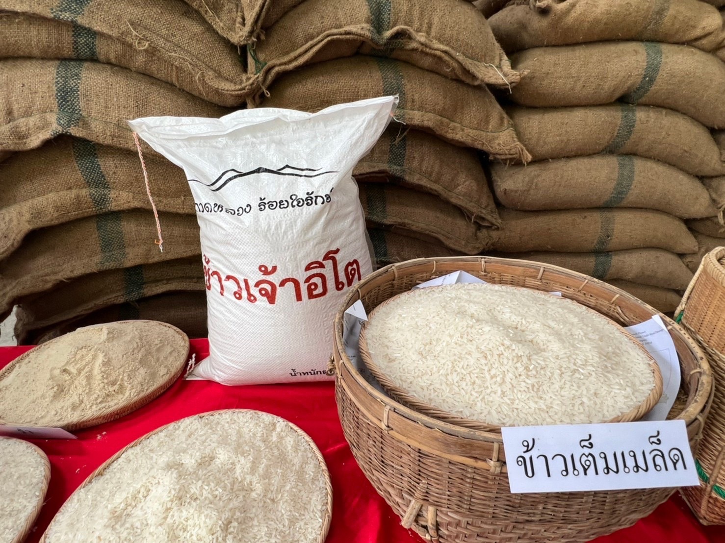 ข้าวอิโต ข้าวญี่ปุ่นร้อยใจรักษ์ ปลูกด้วยใจกลับใจเกษตรกรปกาเกอะญอ