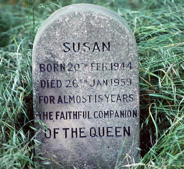 Susan's gravestone in the pet cemetery at Sandringham. It reads: 'Susan - born 20th Feb 1944. Died 26th Jan 1959. For almost 15 years the faithful companion of the queen'