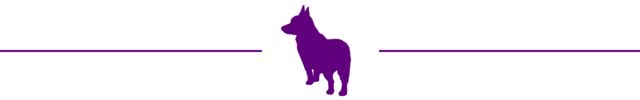 A graphic of a corgi