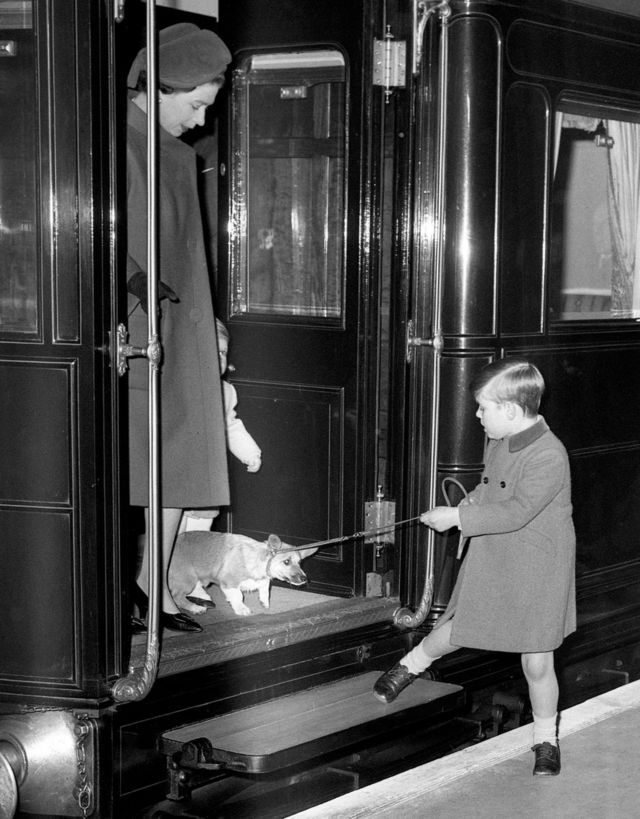 A 1966 black and white picture of Prince Andrew, a young boy in knee socks, encouraging a reluctant royal corgi to leave the train at Liverpool Street Station in London