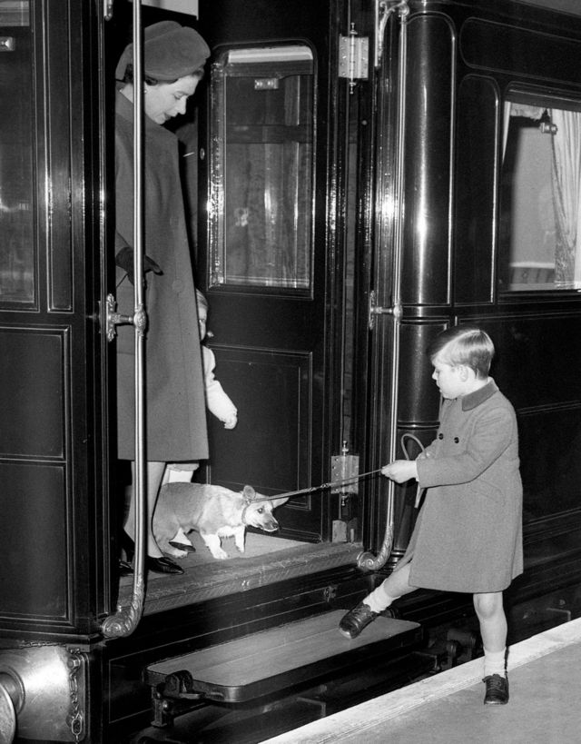 A 1966 black and white picture of Prince Andrew, a young boy in knee socks, encouraging a reluctant royal corgi to leave the train at Liverpool Street Station in London