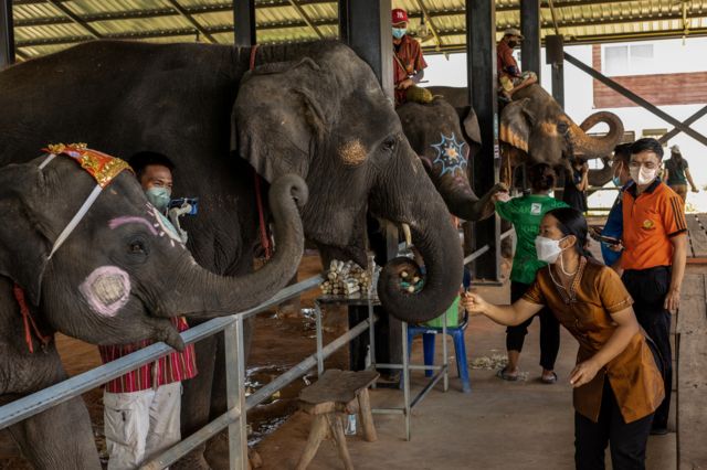 การท่องเที่ยวไทยยังไม่ฟื้นเต็มตัว