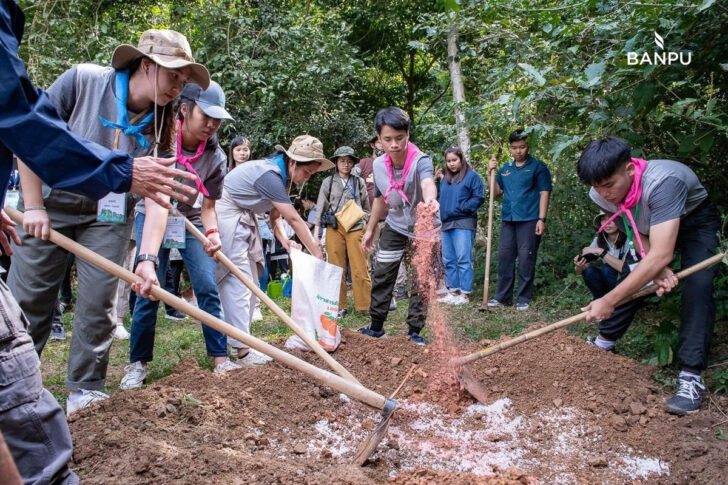 บ้านปู บ้านปู