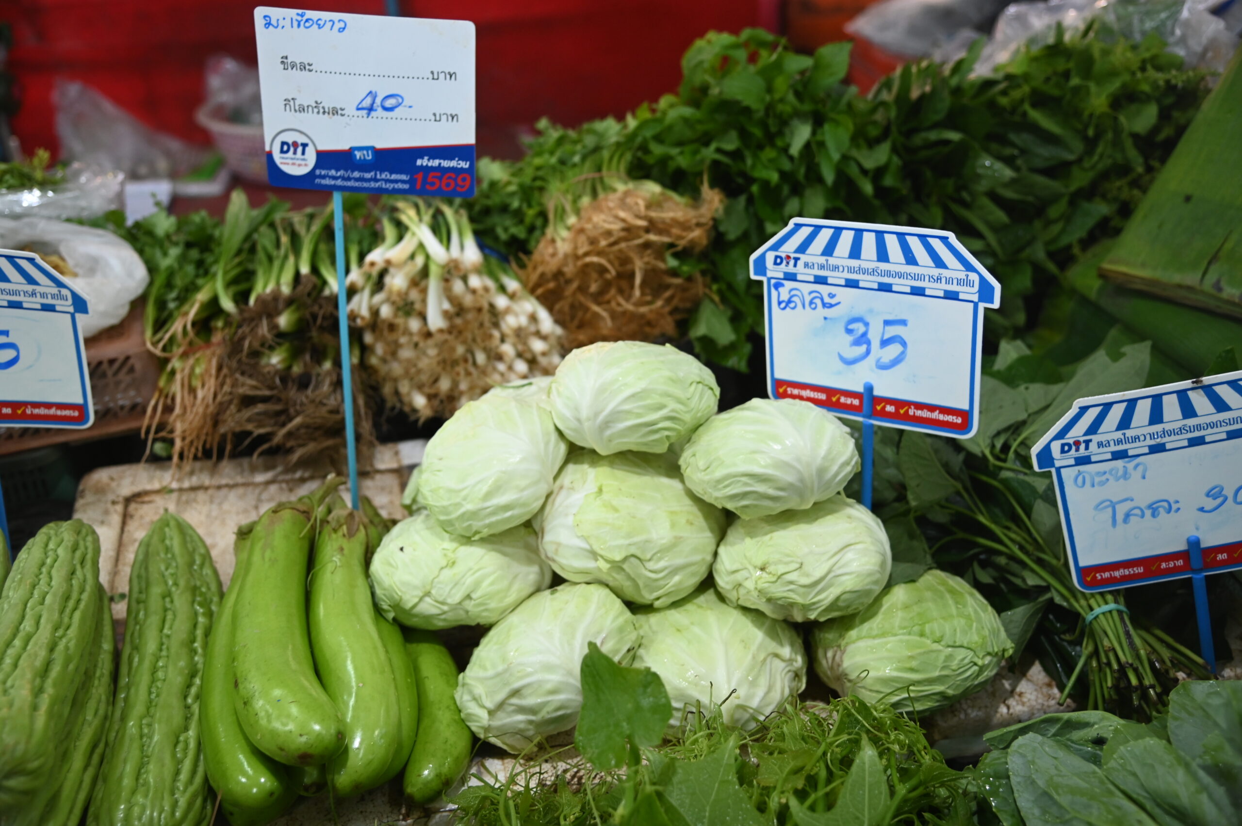 ราคาผักแพงขึ้นรับกินเจ พาณิชย์เตรียมโครงการ “พาณิชย์ลดราคา เทศกาลกินเจ”
