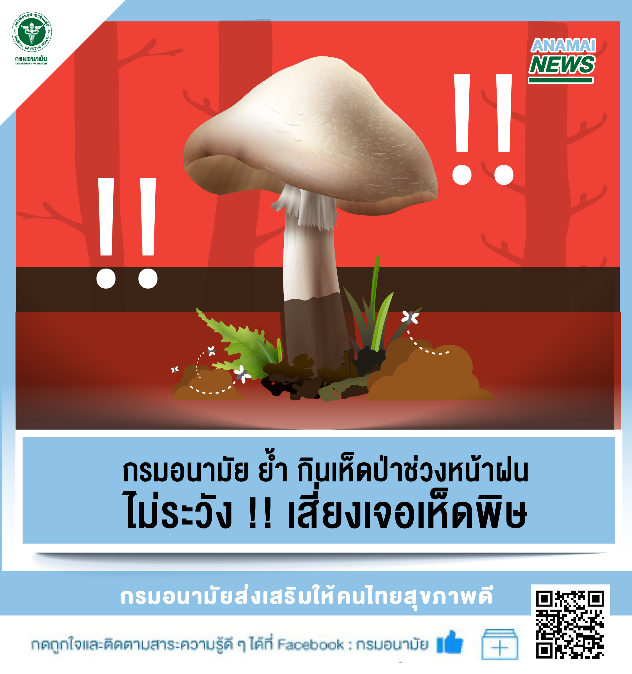 กรมอนามัย ย้ำ กินเห็ดป่าช่วงหน้าฝน ไม่ระวังเสี่ยงเจอเห็ดพิษ