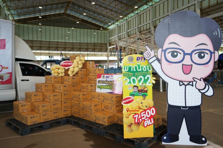 ลองกองอุตรดิตถ์ ลองกองอุตรดิตถ์