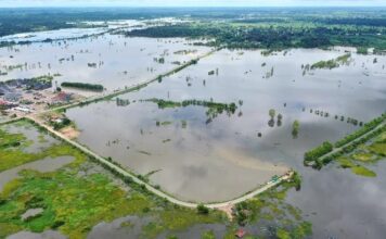 นาข้าวศรีสะเกษจมบาดาล 1.5 แสนไร่