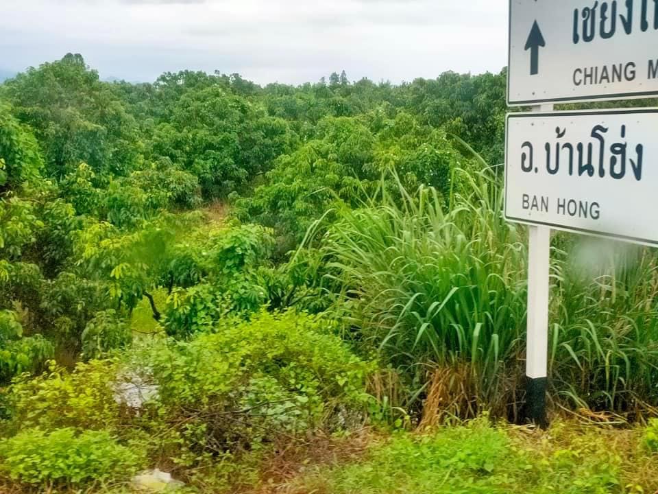 น้ำท่วม เชียงใหม่