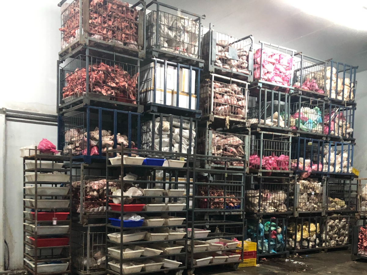 ลุยตรวจ 3 ห้องเย็นนครปฐม ปศุสัตว์สกัดหมูเถื่อน อายัด 1 หมื่นตันไม่ตรงใบอนุญาต