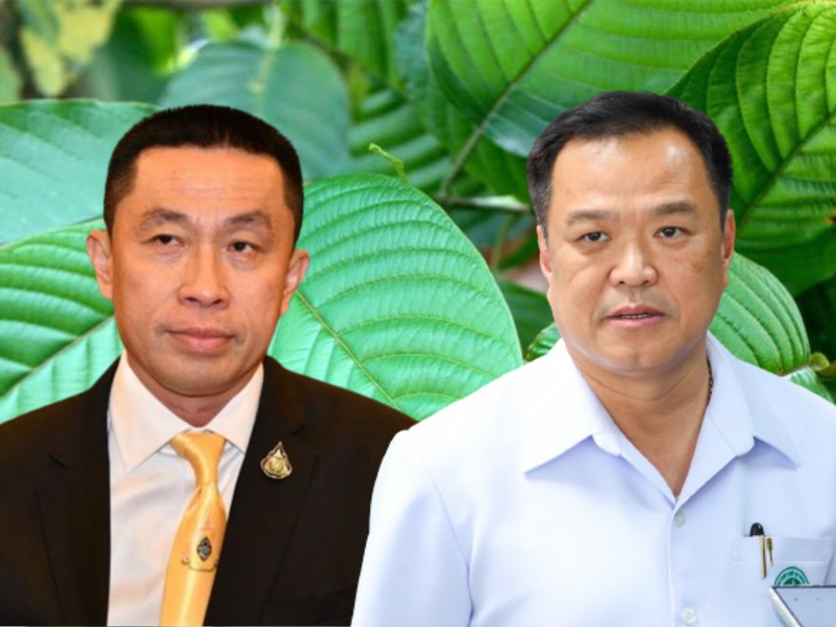 แอบอ้าง อนุทิน-ศักดิ์สยาม กว้านซื้อพืชกระท่อม รัฐบาลเตือน อย่าหลงเชื่อ