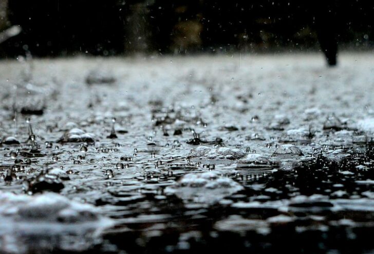 ฝนตก ฝนตก
