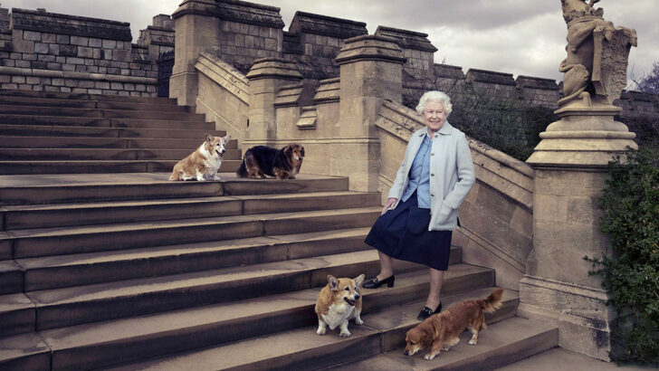 queen-elizabeth-dogs สุนัขทรงเลี้ยง