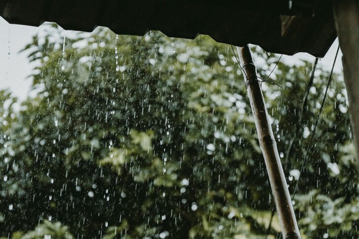 rain-6390802_960_720-728x485 เตือนฝนตกหนัก