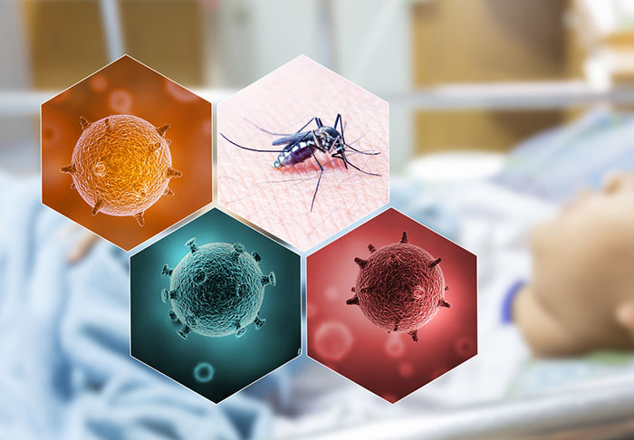 Health,Issue,Concept,,Image,Of,Mosquito,As,Virus,Carrier ไข้เลือดออก