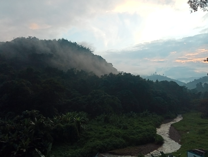 สภาพอากาศวันนี้ ภาคเหนือ ยอดดอยอุณภูมิต่ำสุด 7-14 องศาฯ ใต้ฝน 70%