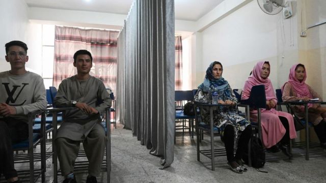 A class divided by a curtain separating males and females at a private university in Kabul