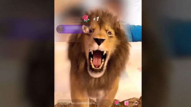 an animated lion gift