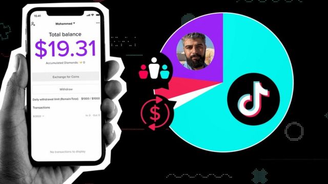 pie chart showing tik tok taking almost 70% of the money