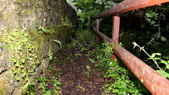 The headless body of Ms Chong was discovered in woodland in Devon