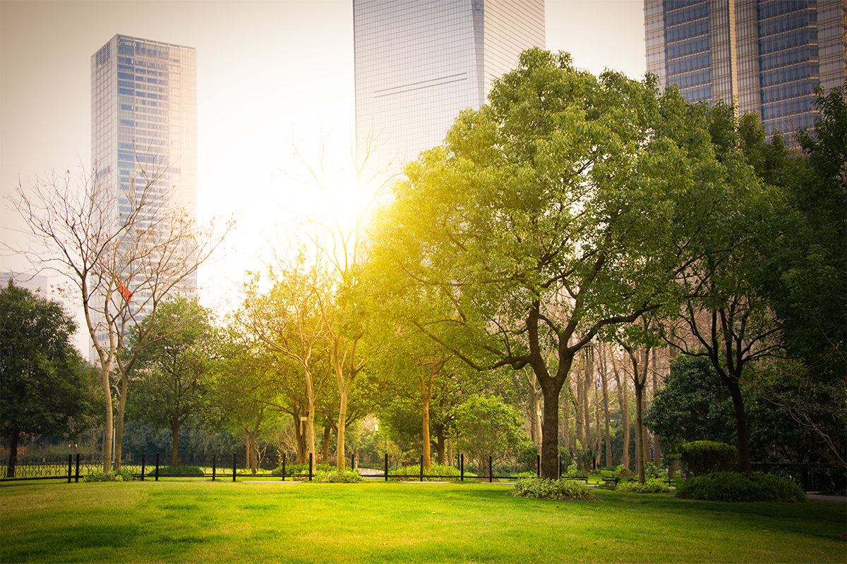 GC ทุ่ม 1.7 พันล้านดอลล์ เดินหน้าสู่ Net Zero 2050